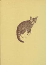 Angela Sayer: Junge Katzen in Farbe