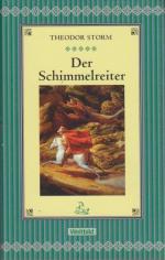 Der Schimmelreiter. Theodor Storm. Mit einem Nachw., einer Zeittafel zu Storm, Anm. und bibliogr. Hinweisen von Hartmut Vinçon zum "Schimmelreiter" und von Werner Hahl zu "Immensee" und "Pole Poppenspäler"