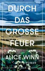 Durch das große Feuer Roman | Gewinner des Jugendliteraturpreises 2024