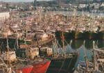 Postkarte: Frankreich - Port de Concarneau - 1979