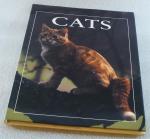 Angela Rixon: Cats