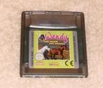 GameBoy Color - Wendy - Versandrabatt möglich !!!