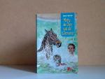 Jane Ayres: Matty, das Pony und die Eife