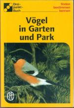 Vögel in Garten und Park