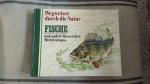 Fische und andere Wassertiere Mitteleuropas