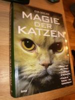 Magie der Katzen