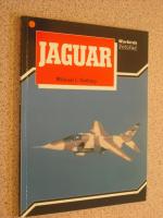 michael j. gething: jaguar