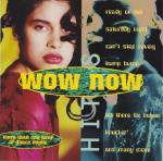 Various: Wow Now Hits (1997)