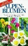 Alpenblumen