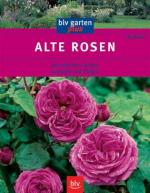 BUCH - Bauer, Ute: Alte Rosen : die schö