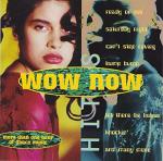 Various: Wow Now Hits (1997)