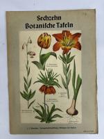J. F. Schreiber: Sechzehn Botanische Taf J. F. Schreiber: Sechzehn Botanische Taf