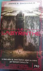 Le Labyrinthe 1 L`épreuve: Roman