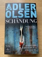 Schändung - Thriller