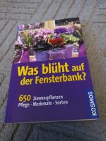 Was blüht auf der Fensterbank?