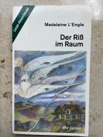 Der Riss im Raum