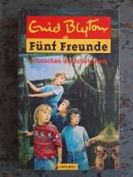 Enid Blyton: Fünf Freunde erforschen die