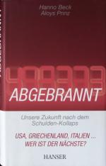 Hanno Beck: Abgebrannt. Unsere Zukunft n