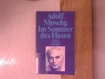 Adolf Muschg: Im Sommer des Hasen : Roma