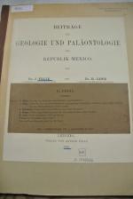 Beiträge zur Geologie und Paläontologie der Republik Mexico. II. Theil. 3. Heft.