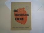 Der menschliche Körper: Naturkundliches Arbeitsheft