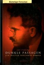 Jay Parini: Dunkle Passagen: Ein Walter-