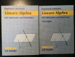 Lineare Algebra mit Vektoren und Matrizen plus Lösungen (ISBN 3476702824)