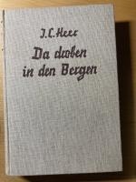Jakob Christoph Heer: Da droben in den B