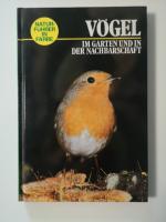 Vögel im Garten und in der Nachbarschaft