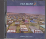 A Momentary Lapse Of Reason