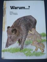 Hülsmann, Eva/Melles, H.: Warum...?