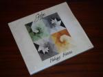 Making Mirrors - Limited Deluxe Edition (CD plus DVD)