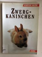 Zwergkaninchen