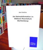 Karl Endriss: Die Steinsalzformation im 