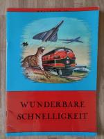 Wunderbare Schnelligkeit - Weltbuch III