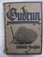 Gudrun - Roman