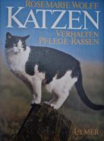 Katzen