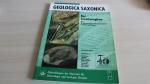 Das Saxothuringikum. Abriss der präkambrischen und paläozoischen Geologie von Sachsen und Thüringen