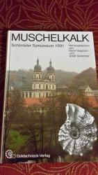 Hagdorn, Hans; Seilacher, Adolf: Muschel Hagdorn, Hans; Seilacher, Adolf: Muschel