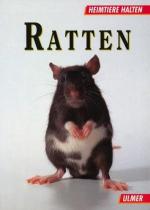 Ratten  - Heimtiere halten