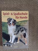 Celina Del Amo: Spiel- & Spaßschule für 