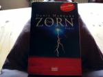 Denis Marquet: Der Zorn