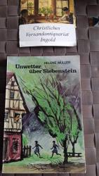 Helene Müller: Unwetter über Siebenstein