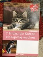 Ratgeber Tiere: 7 Tricks, die Katzen einzigartig machen