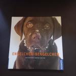 Engelchen & Bengelchen - Retriever Geschichten