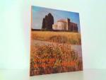 Francoise Leriche-Andrieu: Reisewege dur Francoise Leriche-Andrieu: Reisewege dur
