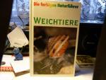 Weichtiere - Die farbigen Naturführer