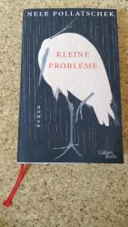 Nele Pollatschek: Kleine Probleme Nele Pollatschek: Kleine Probleme