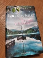 Die Sturmschwester Buch 2 Familien Saga Hardcover Buch Schutzumschlag