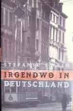 Irgendwo in Deutschland. Autobiographischer Roman